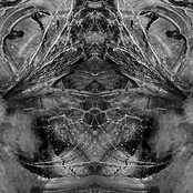 The Darc Triad