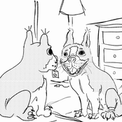 Miraculous Invisible