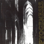 Pyogenesis