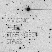 Among the Strangest Stars