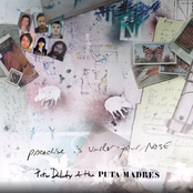 Paradise Is Under Your Nose