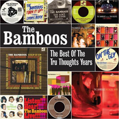 The Bamboos