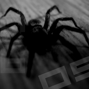 An Absurd Collection