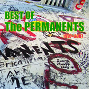 BEST OF The PERMANENTS (Disc 2)