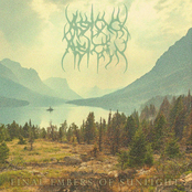 Final Embers of Sunlight