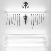 The Abyss Stares Back - Vol. I