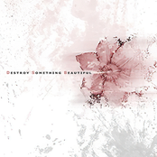 Destroy Something Beautiful