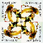 Steve Taylor: Squint