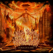 Scorcher Of The Holy by Hate Storm Annihilation