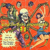 The Psychedelic Experience Vol 4