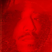 The Kings Of Dog Town