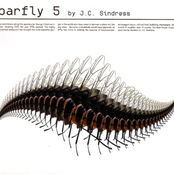 Barfly 5