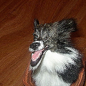 You Haven't Had Enough Sugar