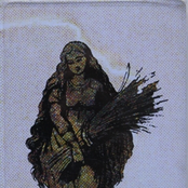 My nature is my best teacher