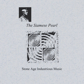 Stone Age Industrious Music