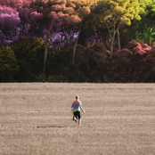 sunflowers and their landscapes - EP