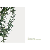 Red lies in the White field