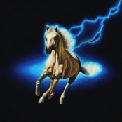 Show Pony: Lightning