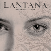 Sin Palabras by Lantana