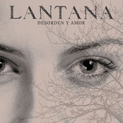 Lantana: Desorden y Amor