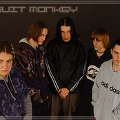 bruit monkey