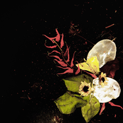 Automatic Teller Machine