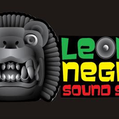 Leones Negros