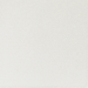 Shouting The Silent Slogan