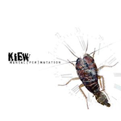 Delusion by Kiew