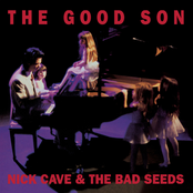 Lucy by Nick Cave & The Bad Seeds