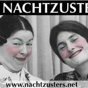 de nachtzusters