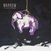 Marrow - The Gold Standard Artwork