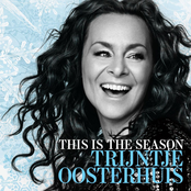 Dreaming Of A White Christmas by Trijntje Oosterhuis