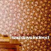 Sad Days Indeed