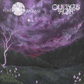 Forêt Endormie / Quercus Alba