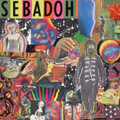 Brand New Love by Sebadoh