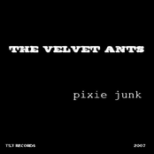 Pixie Junk: Alternative Takes + B-Sides