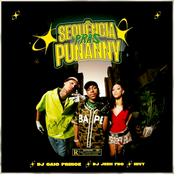 Sequência Pras Punanny