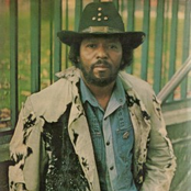 curtis knight