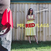 Mr. Red Flags