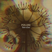 Polline - EP