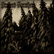 Un voile de poussière