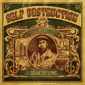 self destruction