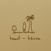 Haast - Hāwea