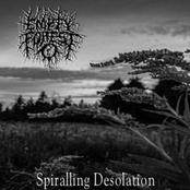 Spiralling Desolation