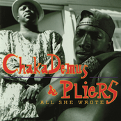 Chaka Demus and Pliers: All She Wrote