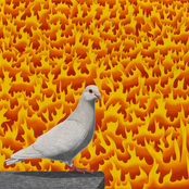 How to Keep a Fire Burning