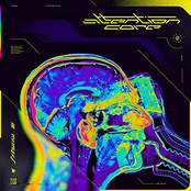FVLCRVM - Silicon Fields