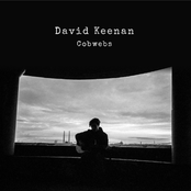 David Keenan: Cobwebs