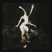 Tánc a Rothadásért